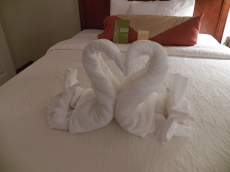 Towel Swans sitting on our Bed