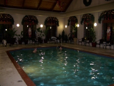 Indoor Pool with decorated windows